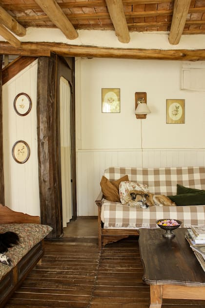 "Cuando vimos la casa por primera vez nos sorprendió para bien: tenía muchísimo potencial. Lo que pasamos por alto es que sacarle ese potencial iba a ser mucho más trabajoso de lo que esperábamos”.