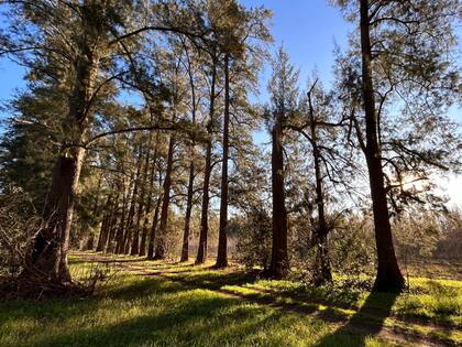 “Cuando vimos su pulmón verde, fue amor a primera vista”, dice Noelia sobre este pueblo rural.