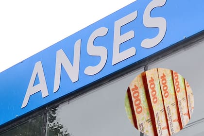 Cuánto paga la Anses a los titulares de sus prestaciones este mes