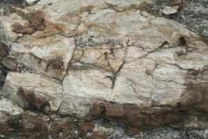 Logran explicar los rastros fósiles hallados en cuarcita de 1200 millones de años