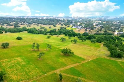 Cuatro constructoras ya comprometieron tomas trimestrales para sostener el avance de obras