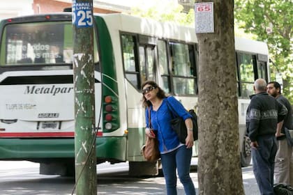 No es posible para la Justicia recalcular los subsidios que recibieron las líneas de colectivos.