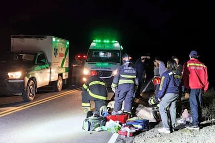 Cuatro trabajadores de la Secretaría de Emergencia y Gestión del Riesgo de la provincia de Neuquén volcaron con una camioneta oficial cuando se dirigían a la zona de los incendios por la ruta provincial 23, a unos 30 kilómetros de Junín de los Andes.