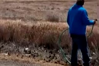 Cuatro tripulantes se eyectan a salvo tras choque de aviones durante espectáculo aéreo en Idaho