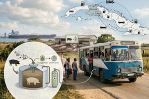 En Cuba, los autobuses de un municipio funcionarán con desechos de cerdos