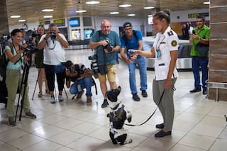 Cuba dice que sus operativos evitaron que 40 toneladas de drogas llegaran a EEUU en los últimos 14 años