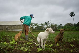 Cubanos luchan por sobrevivir mientras EEUU estrecha cerco sobre la isla para derrocar al gobierno