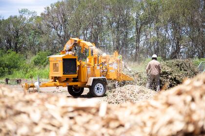Cuenta con un sistema de chipeo para procesar determinados residuos.