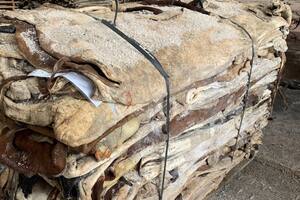 Cueros bovinos: se eliminaron las retenciones