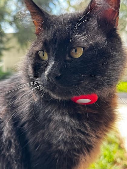 Cuervo le enseñó a Gastón la perseverancia y la paciencia como claves de vida