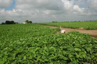 Se fue un 2024 raro, complejo y llegó un 2025 expectante y con elecciones