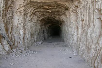 El CBBS de la Sul Ross State University y el Odyssey Archaeological Research Fund de la University of Kansas se unieron para la investigación en Texas que dio como resultado el gran descubrimiento