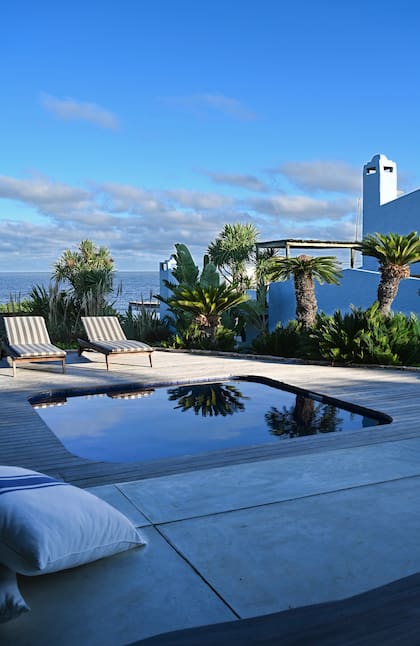 "Cuidamos las plantas nosotros. ¡Hasta las acariciamos y les hablamos!”, se ríe José. “Plantar las palmeras grandes fue una obra de ingeniería: hicieron falta una pluma, gomas para sostenerlas y mucha paciencia”.