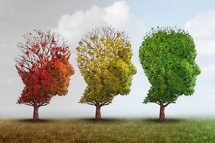 Cuidar el cerebro ayuda con la prevención de enfermedades neurológicas ya que reduce el riesgo de desarrollar afecciones cerebrales degenerativas, como la enfermedad de Alzheimer u otras formas de demencia