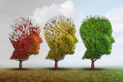 Cuidar el cerebro ayuda con la prevención de enfermedades neurológicas ya que reduce el riesgo de desarrollar afecciones cerebrales degenerativas, como la enfermedad de Alzheimer u otras formas de demencia