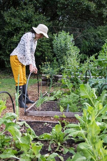 Cuidar la huerta es fundamental en esta época para cosechar las verduras sanas y a tiempo.