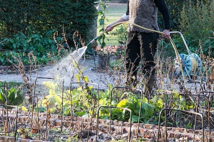 Cuidar las plantas, sin descuidar el medioambiente