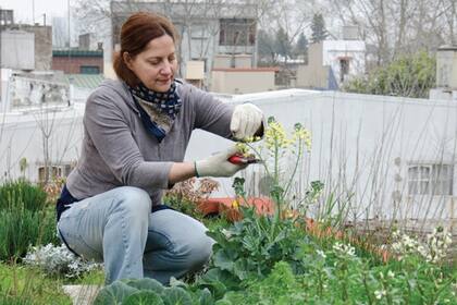 Cuidar tu jardín te ayuda a relajarte y elimina el estrés