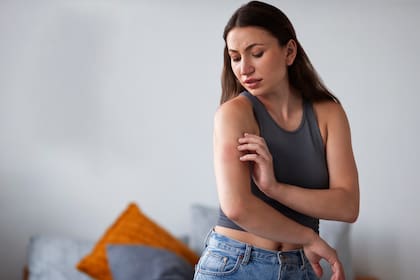 Culex y Aedes aegypti dominan en el valle, con riesgo creciente de brotes