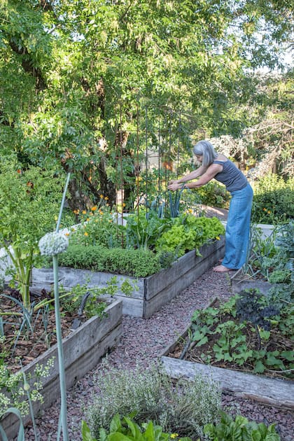 Cultivar una huerta y pertenecer a una moai, una red de apoyo social o un grupo de amigos cercano, es uno de los secretos de las comunidades más longevas de Japón