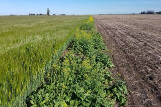 Aplicaciones periurbanas: con el conocimiento científico, legislar y controlar