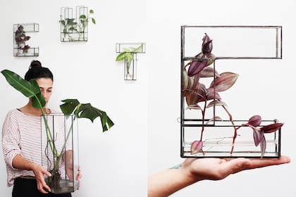 Cut the glass es un proyecto creado por Marina Guerrier y Adrián Varela, una pareja amante de las plantas que ofrece diseños únicos con formas geométricas y de letras. Hay un kit de tres estanques (cuadrado- hexágono-triángulo) a $4500. Las medidas de cada pieza son: 16 x 16 cm y tienen 5 cm de espesor. Todos los modelos traen arandelas para poder colgar en la pared. www.cuttheglass.com.ar