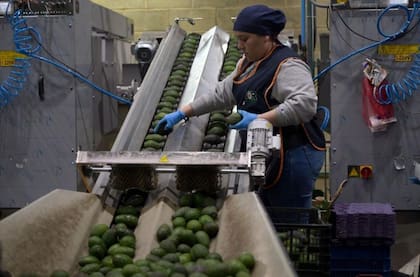 Dado que México es el principal socio comercial de Texas, los aranceles pueden tener efectos negativos en el intercambio de productos esenciales