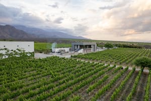 Catas, visitas guiadas y gastronomía en una bodega boutique a 1700 metros sobre el nivel de mar