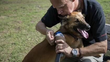 Dalley le coloca la prótesis a Cola
