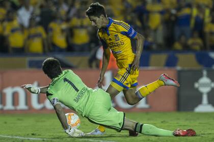 Damm, el mexicano-alemán que compró Tigres