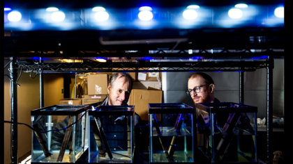 Dan Distel (izquierda) y Reuben Shipway han venido estudiando las bacterias en los gusanos de los barcos en el Centro de Ciencias Marinas de la Universidad Northwestern, Estados Unidos.