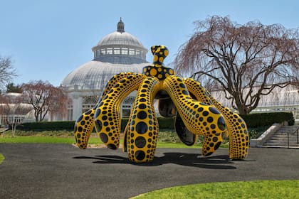 Dancing Pumpkin, 2020. Una monumental escultura de bronce con forma de calabaza pintada en negro y amarillo, ubicada en el jardín del conservatorio.