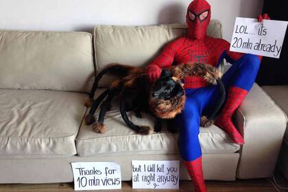 Dando las gracias por las visitas