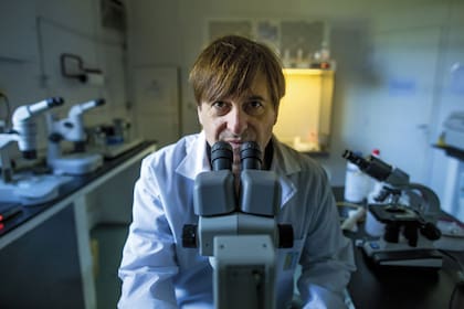 Daniel Salamone en su laboratorio en Agronomía