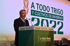 “Tenemos la oportunidad”: un experto habló del trigo y dejó un mensaje para la nueva campaña