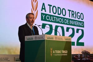 Un experto habló del trigo y dejó un mensaje para la nueva campaña