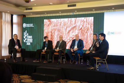 Daniel Asseff, Tomás Palazón, Ricardo Fernández Pancelli, Martín Famulari, Pablo Ginestet y Lucas Amadeo
