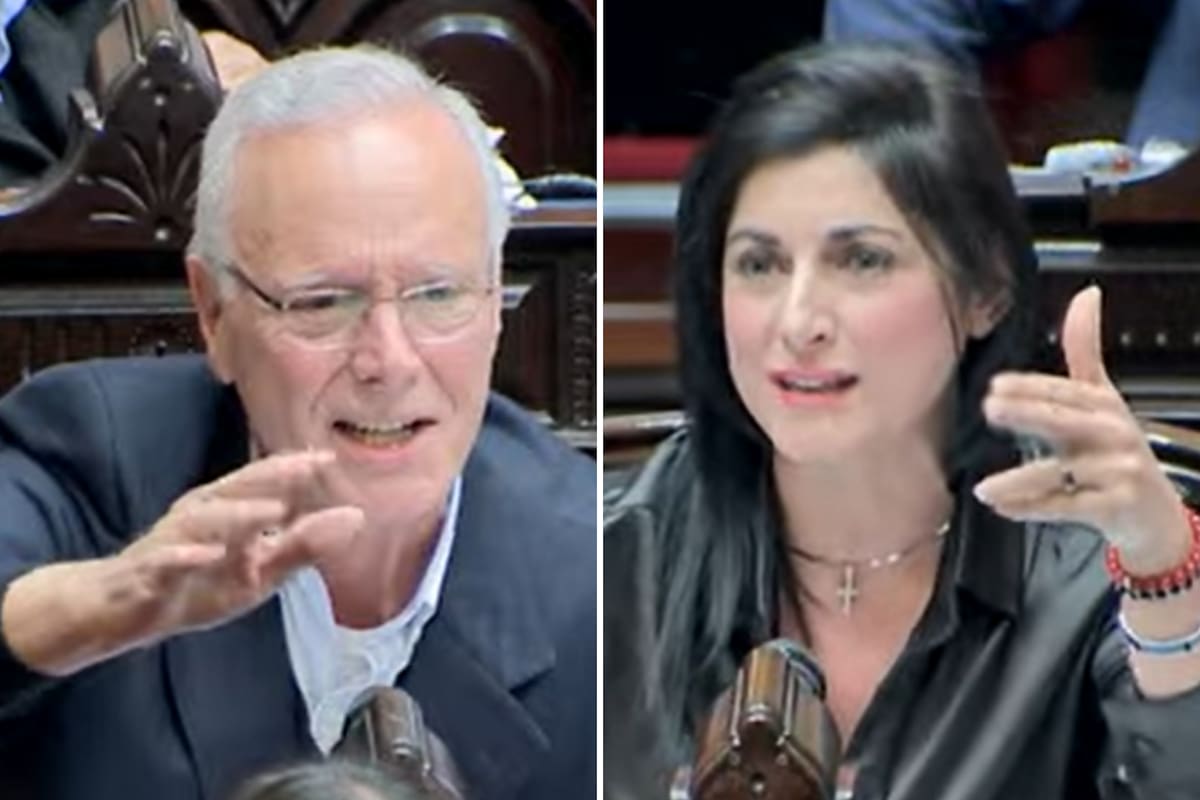 Sesión en Diputados, en vivo: la oposición busca avanzar con proyectos sensibles para Javier Milei