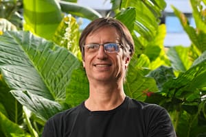 Pagan US$12,5 millones por una startup argentina que creó un virus que caza tumores cancerígenos