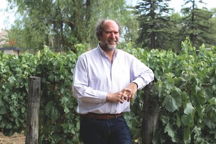 Daniel Pi, entre viñedos