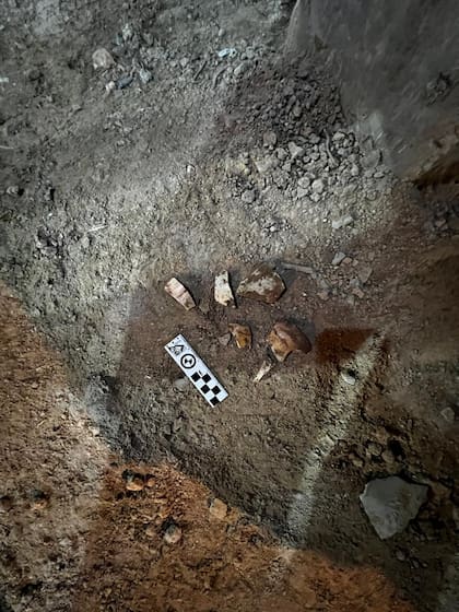 Daños por una excavación en el Mercado de San Telmo