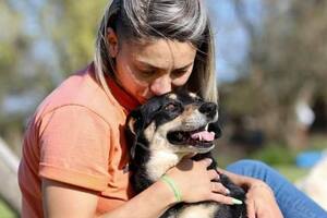 Lanzan una original colecta solidaria para ayudar al refugio de perros El Campito