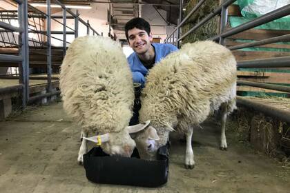 Darío Luengo, estudiante de Ciencias Veterinarias de 22 años, en el tambo ovino