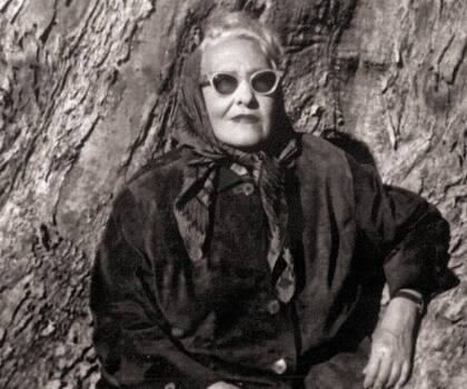 Darse llegará a Argentina en el segundo semestre