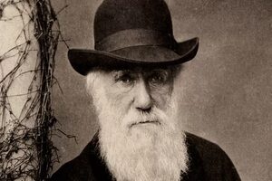 “Crueldad”: el horror de Charles Darwin ante la esclavitud en Brasil y cómo marcó sus teorías