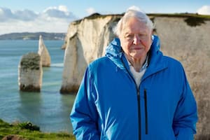 David Attenborough; BBc; BBC ;Mundo; Gran Barrera de Coral en Australia
