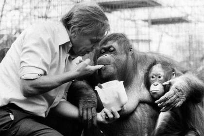 Por mar y tierra, David Attenborough ha reportado sobre casi todas las criaturas que habitan nuestro planeta.