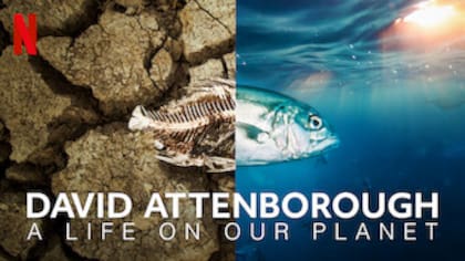 David Attenborough hace un repaso de su vida y la historia evolutiva de la Tierra, mientras lamenta la pérdida del mundo salvaje (Crédito: Netflix)