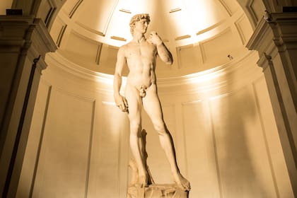 El "David" es una escultura de mármol blanco de 5,17 metros de altura y 5572 kilogramos de masa, realizada por Miguel Ángel Buonarroti entre 1501 y 1504, que representa al rey bíblico previo a enfrentarse con Goliat
