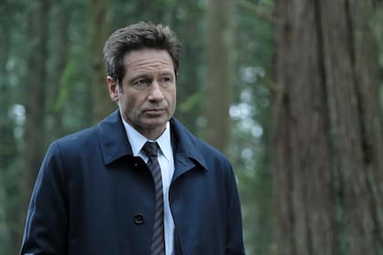 David Duchovny anunció a través de un comunicado que se internaría en una clínica de rehabilitación por su compulsión a la pornografía
